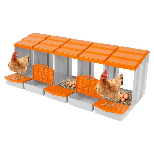 Pondoir automatique 5 cases à toit orange, deux poules devant les nids