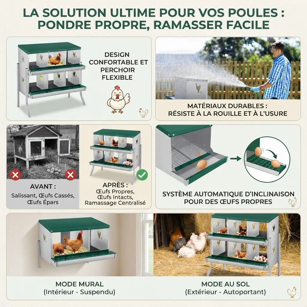 Planche des caractéristiques du pondoir 6 cases, perchoir souple et deux modes de pose