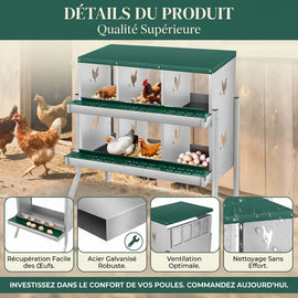 Détails du pondoir 6 cases, récupération des œufs, acier galvanisé et ventilation