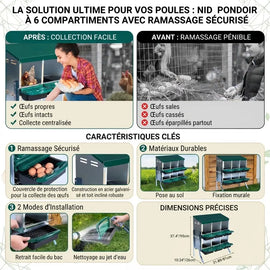 Planche des caractéristiques du pondoir collectif 6 nids, ramassage sécurisé et deux modes d'installation