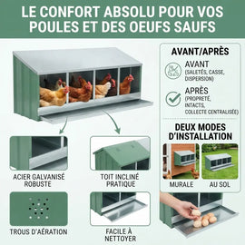 Planche des caractéristiques du pondoir 6 poules, acier galvanisé, toit incliné et trous d'aération