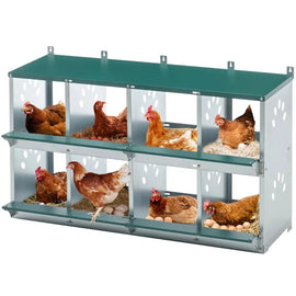 Pondoir mural 8 cases en métal, huit nids sur deux rangées avec des poules