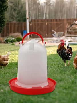 L'abreuvoir dans un enclos herbeux, un coq et deux poules autour