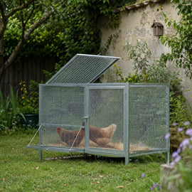 Cage à poules grillagée posée dans l'herbe contre un vieux mur, deux poules à l'intérieur