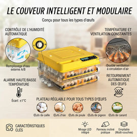 Les fonctions clés : contrôle automatique de l'humidité, double ventilation, retournement des œufs et plateau réglable pour toutes les espèces