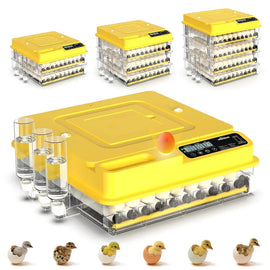 La couveuse dans ses quatre configurations, d'un à quatre étages, avec ses tubes de remplissage d'eau et des poussins à l'éclosion