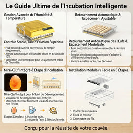 Guide d'incubation : gestion de l'humidité, retournement automatique, mire-œufs intégré et montage en trois étapes