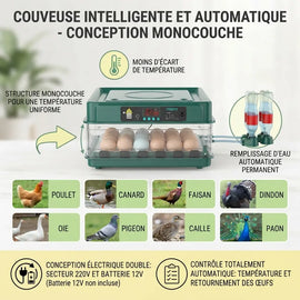Conception monocouche de la couveuse, espèces acceptées et double alimentation 220 volts et 12 volts
