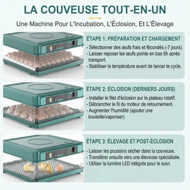 Les trois étapes de la couvée : préparation et chargement, éclosion, élevage après éclosion