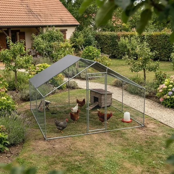Enclos à poules de 12 m² installé dans un jardin, poules et abri en bois à l'intérieur