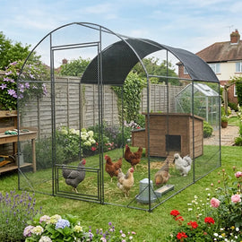 Enclos à filet renforcé dans un jardin fleuri, cinq poules autour d'un abri en bois et d'un abreuvoir