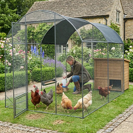 Éleveuse accroupie dans l'enclos devant une maison en pierre, cinq poules autour d'elle