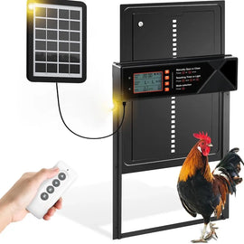 Fermeture solaire de porte de poulailler avec son panneau solaire et sa télécommande, un coq passe dans l'ouverture