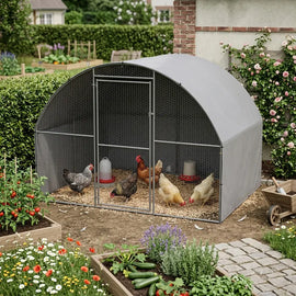 Grand poulailler galvanisé au bord d'un potager, cinq poules autour de deux mangeoires