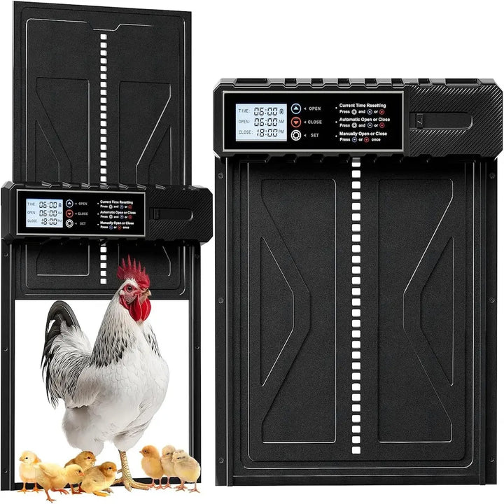 Porte automatique de poulailler en aluminium à écran, vue de face et de profil avec un coq et ses poussins