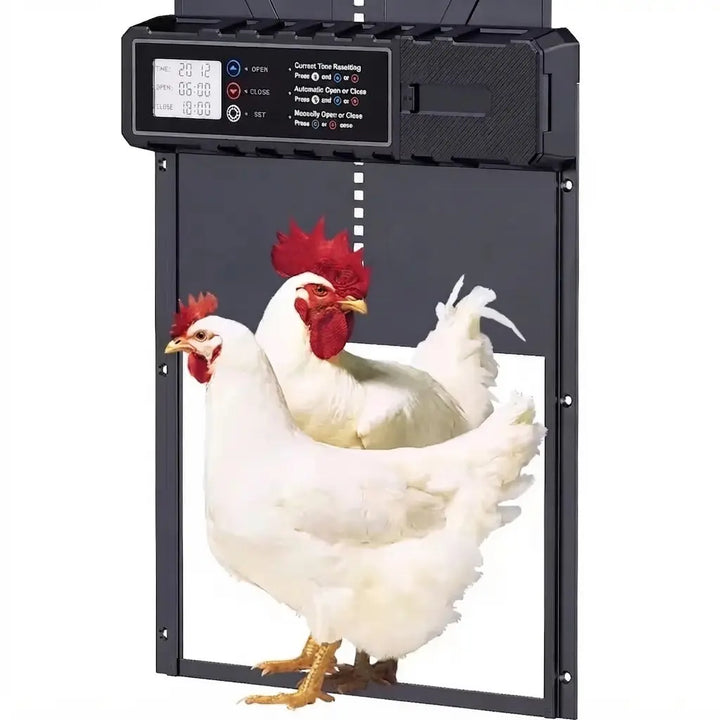 Porte automatique de poulailler programmable à grand écran, deux poules blanches devant l'ouverture