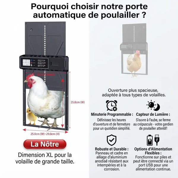 La porte programmable comparée à une porte standard, ouverture plus spacieuse pour la volaille de grande taille