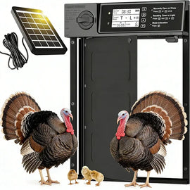 Porte automatique de poulailler rotative sur pile avec son panneau solaire, deux dindons devant le passage