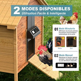 Les deux modes de la porte pour pondeuses sur un poulailler en bois : minuterie et commande manuelle