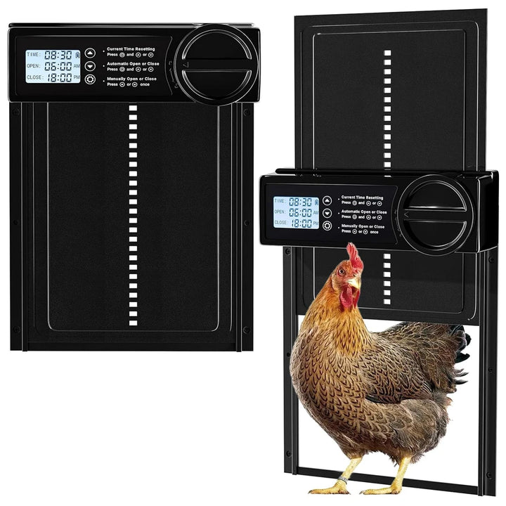 Porte de poulailler programmable à écran étanche avec sa molette de secours, une poule rousse dans l'ouverture