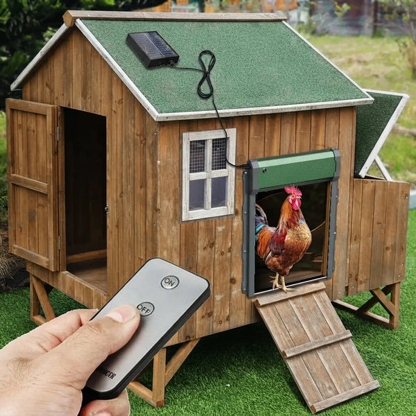 La porte à enroulement installée sur un poulailler en bois, commandée à la télécommande, une poule sort par la trappe