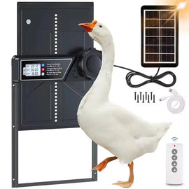 Porte solaire de poulailler anti-pincement en aluminium avec son panneau solaire, sa télécommande et sa visserie, une oie devant l'ouverture