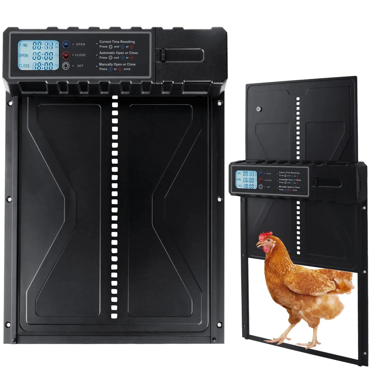 Porte solaire USB vue de face et de trois quarts, une poule rousse franchit le passage