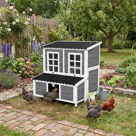 Poulailler gris et blanc à deux niveaux dans un jardin, poules devant l'entrée et abreuvoir posé à côté