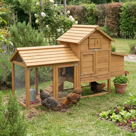 Poulailler en bois naturel avec parc grillagé attenant dans un jardin, poules picorant devant