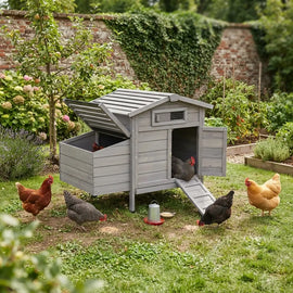 Poulailler gris sur pieds avec sa rampe descendue dans un jardin, deux poules devant l'entrée
