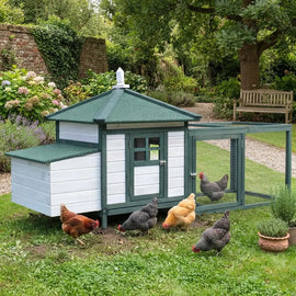 Poulailler cottage vert et blanc à toit quatre pans installé dans un jardin fleuri, quatre poules picorant devant l'enclos grillagé