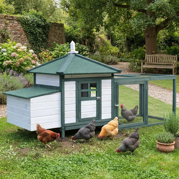 Poulailler cottage vert et blanc à toit quatre pans installé dans un jardin fleuri, quatre poules picorant devant l'enclos grillagé