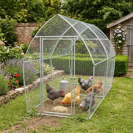Poulailler de 4 m dans un jardin clos de murs, cinq poules et un abreuvoir en zinc