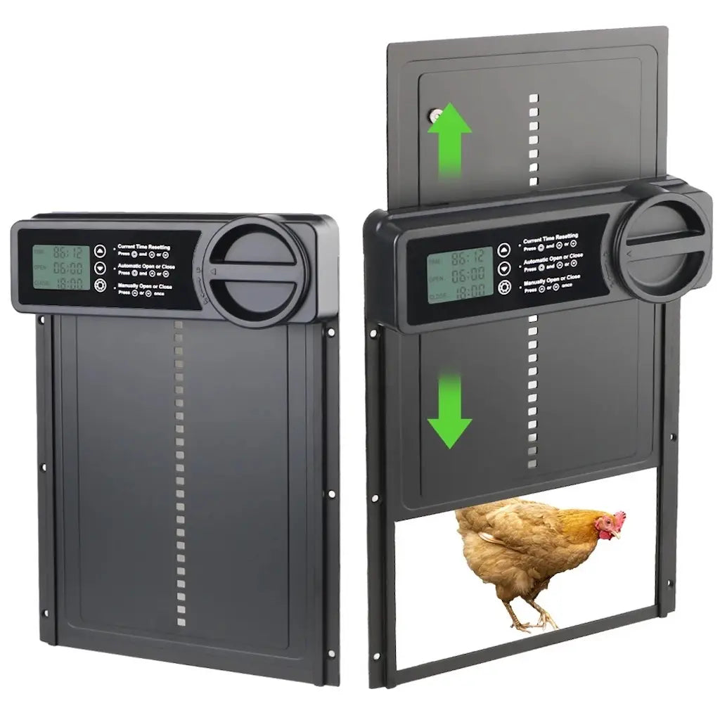 Système à écran LCD vu de dos et de face, une poule rousse franchit le passage