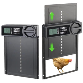 Système à écran LCD vu de dos et de face, une poule rousse franchit le passage