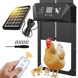 Système solaire de porte de poulailler multi-mode avec son panneau solaire, sa télécommande, sa visserie et son tournevis, une poule et ses poussins