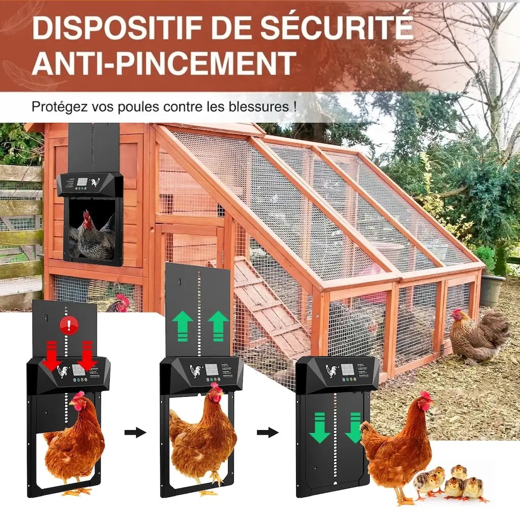 Dispositif anti-pincement du système multi-mode, la porte remonte quand une poule se trouve dessous