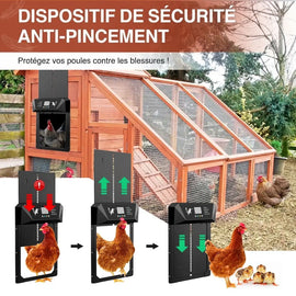 Dispositif anti-pincement du système multi-mode, la porte remonte quand une poule se trouve dessous