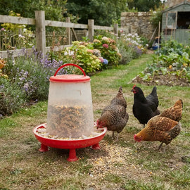 Trémie sur pieds remplie de granulés dans un jardin, quatre poules autour