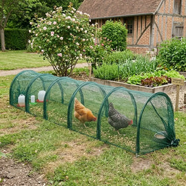 Tunnel d'enclos posé le long d'un potager surélevé, deux poules à l'intérieur avec mangeoire et abreuvoir